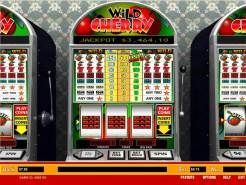 Wild Cherry 1 Line Slots